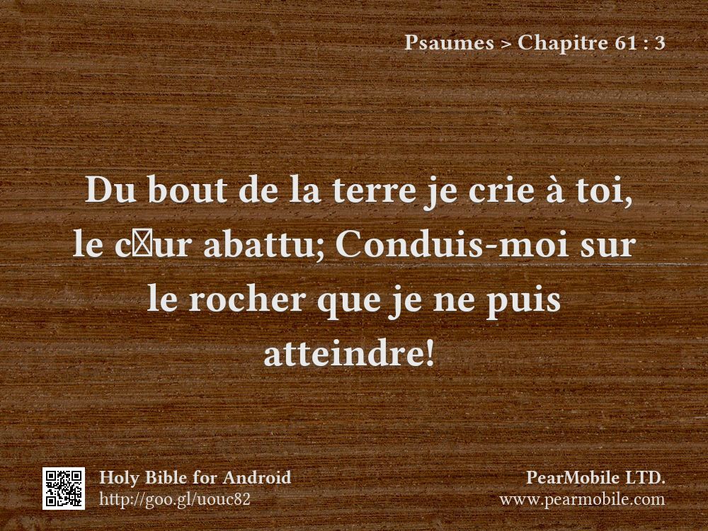 Psaumes, Chapitre 61:3